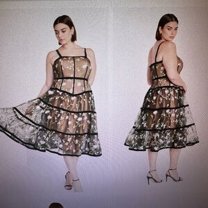 City Chic - Floral Splendour Dress